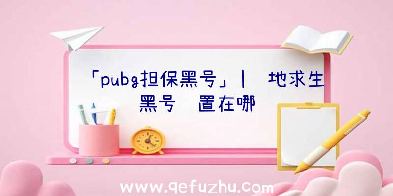 「pubg担保黑号」|绝地求生黑号设置在哪